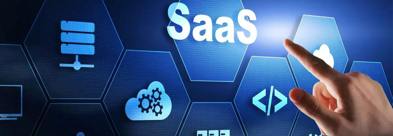 Custom Software Development vs SaaS  